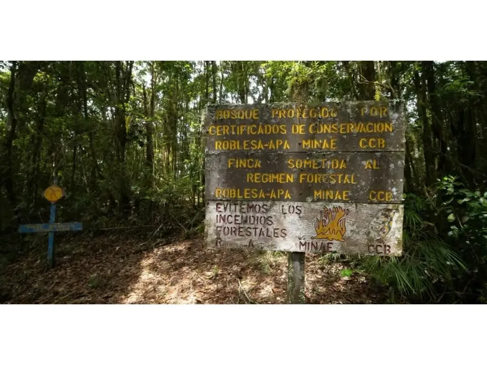 Ubicada en las montañas de Pérez Zeledón, esta extraordinaria finca de 594.9 hectáreas representa una oportunidad única de inversión en conservación y producción sostenible en ..., photo 11