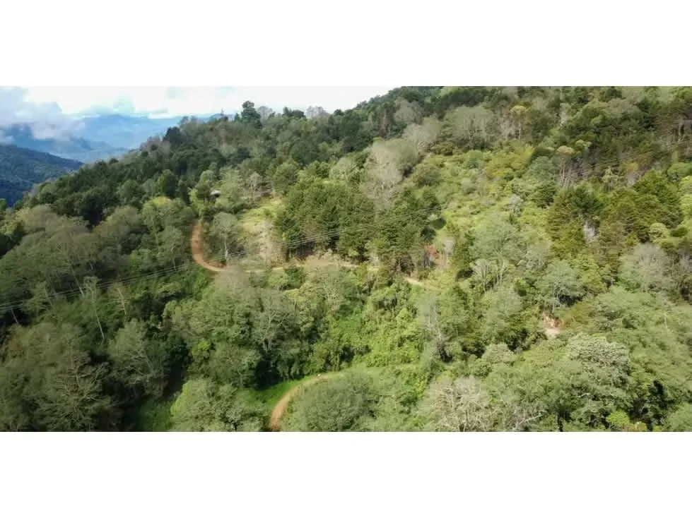 Ubicada en las montañas de Pérez Zeledón, esta extraordinaria finca de 594.9 hectáreas representa una oportunidad única de inversión en conservación y producción sostenible en ..., photo 4