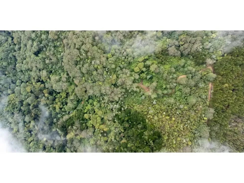 Ubicada en las montañas de Pérez Zeledón, esta extraordinaria finca de 594.9 hectáreas representa una oportunidad única de inversión en conservación y producción sostenible en ..., photo 5