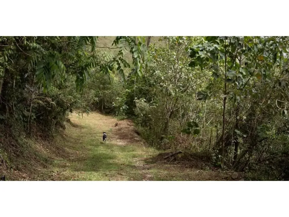 Ubicada en las montañas de Pérez Zeledón, esta extraordinaria finca de 594.9 hectáreas representa una oportunidad única de inversión en conservación y producción sostenible en ..., photo 9