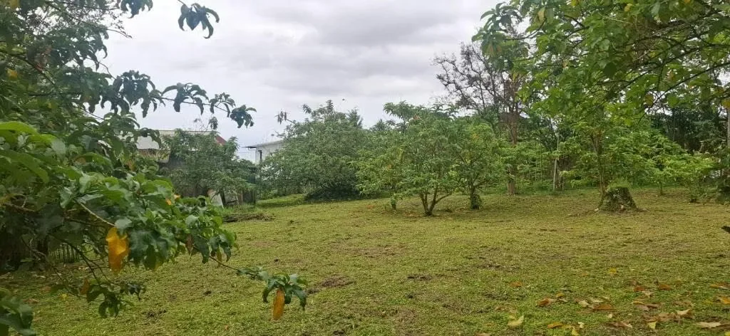 Terreno en venta en San Rafael de Montes de Oca, photo 3