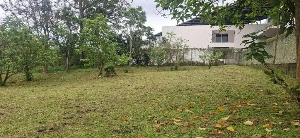 Terreno en venta en San Rafael de Montes de Oca, photo 6