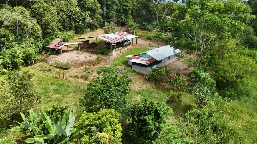 PEQUEÑA FINCA ESCONDIDA DE 1 HECTÁREA EN PÉREZ ZELEDÓN - Venta en Perez Zeledón, photo 6