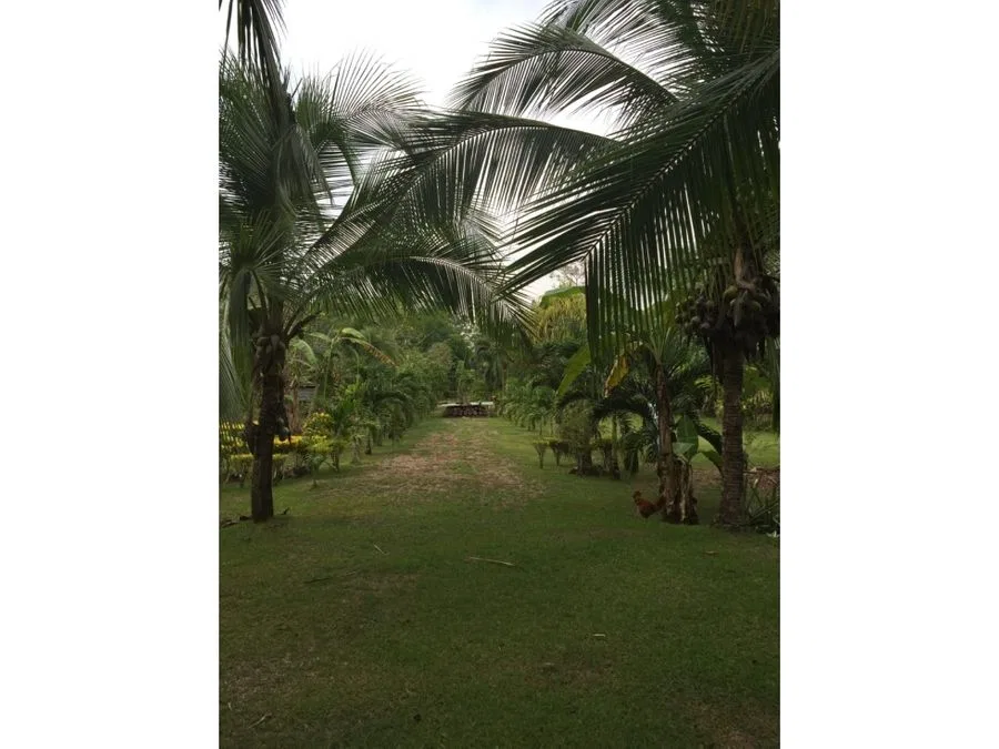 Terreno Exclusivo a 100m del Mar en Playa Blanca