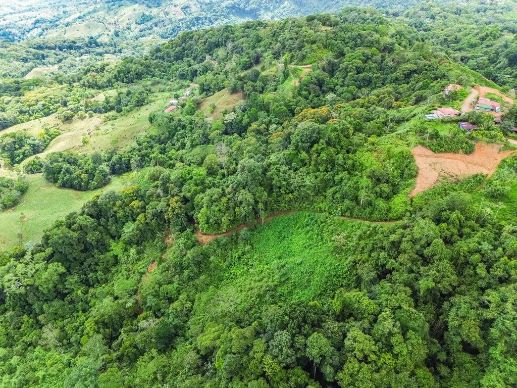 BREATHTAKING MOUNTAIN, JUNGLE, VALLEY, AND OCEAN VIEWS FARM – 22.46 ACRES, photo 13