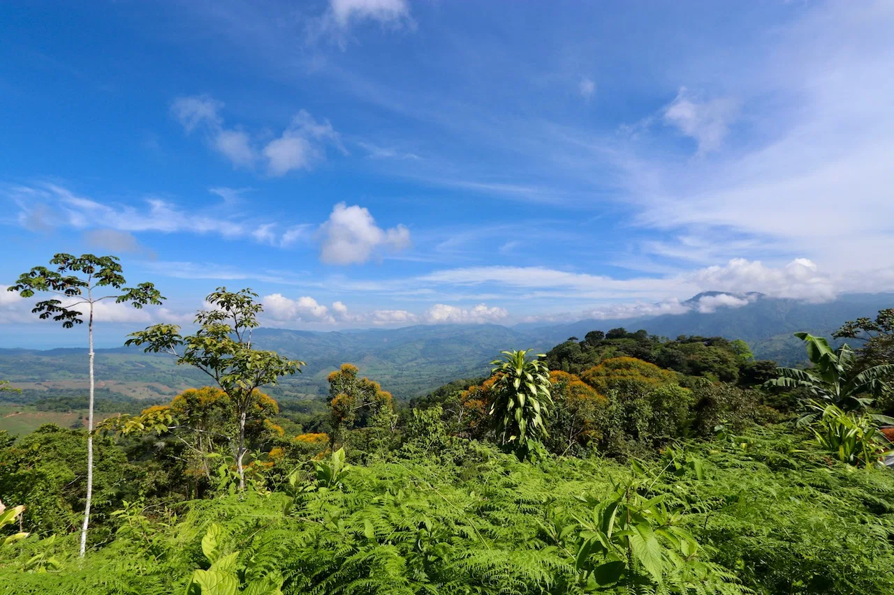 BREATHTAKING MOUNTAIN, JUNGLE, VALLEY, AND OCEAN VIEWS FARM – 22.46 ACRES, photo 14