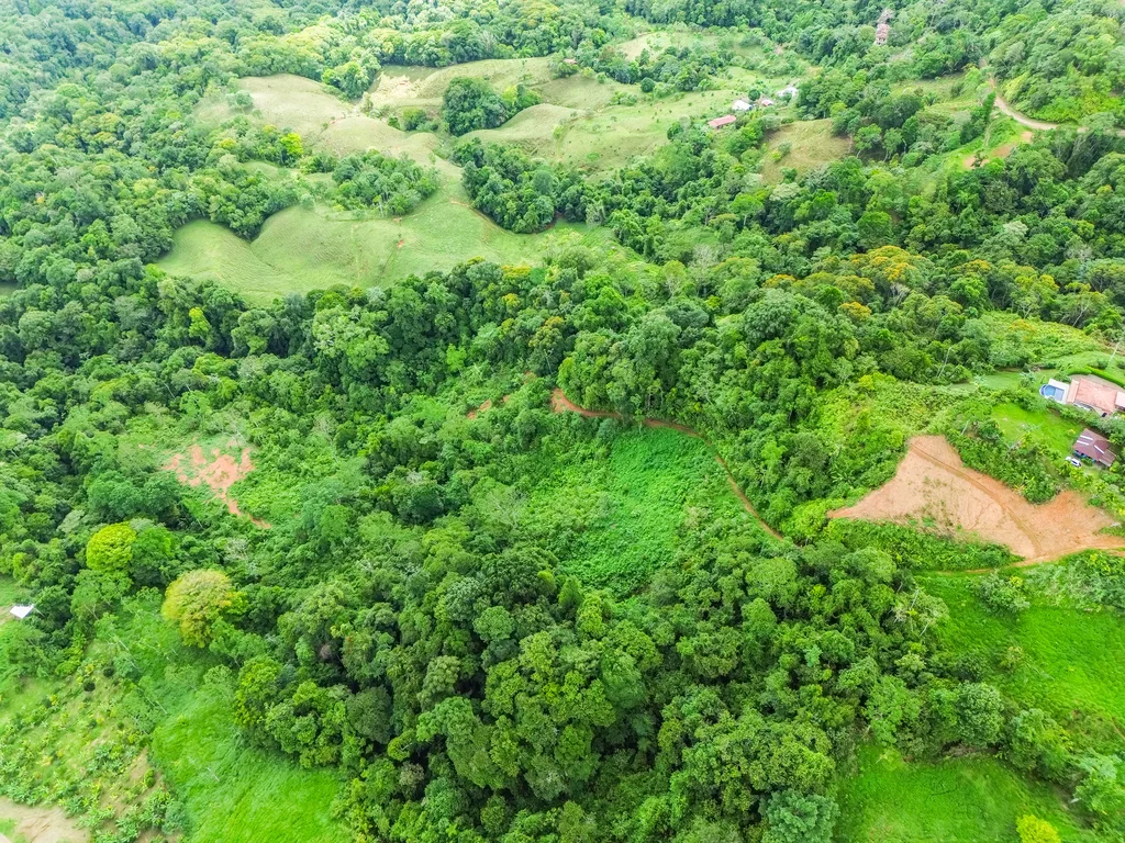 BREATHTAKING MOUNTAIN, JUNGLE, VALLEY, AND OCEAN VIEWS FARM – 22.46 ACRES, photo 17