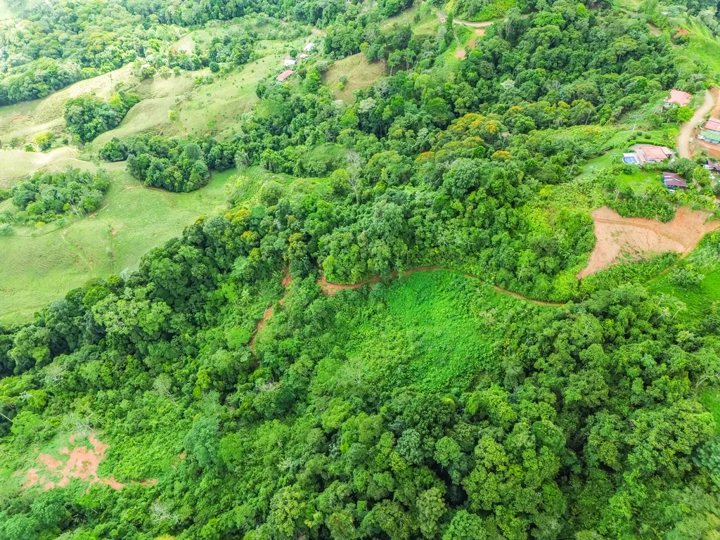 BREATHTAKING MOUNTAIN, JUNGLE, VALLEY, AND OCEAN VIEWS FARM – 22.46 ACRES, photo 18