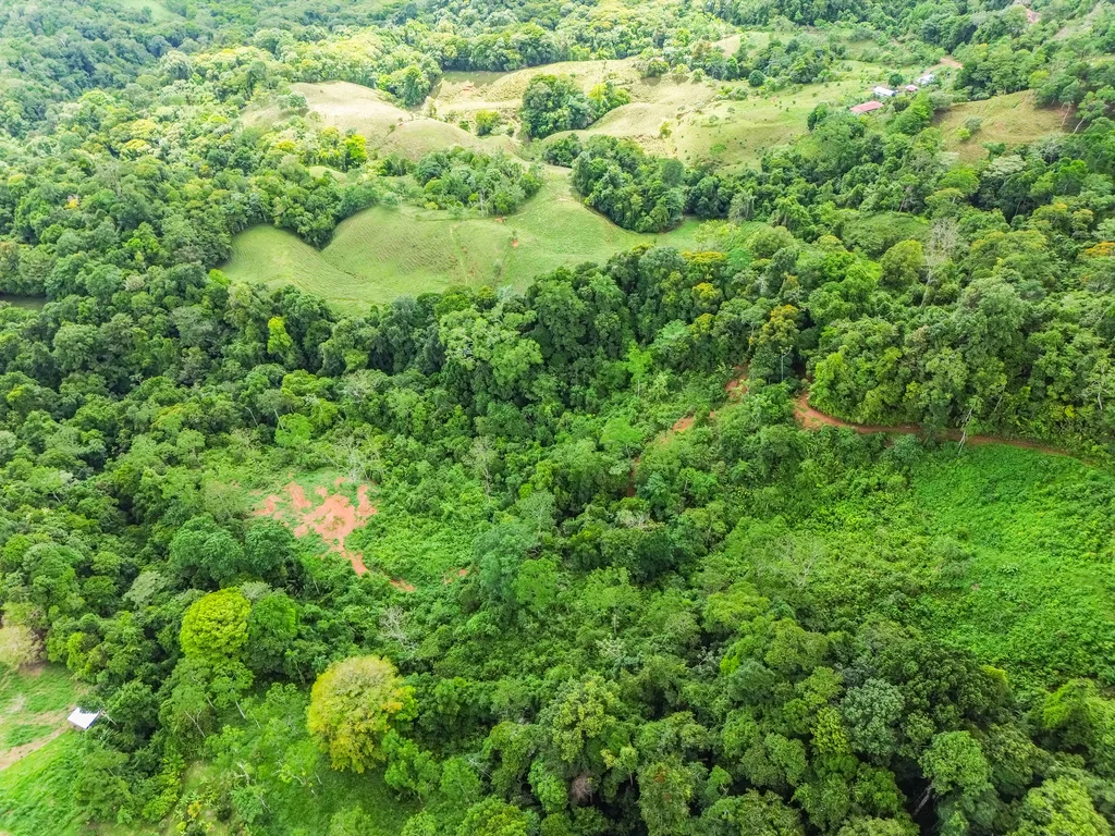 BREATHTAKING MOUNTAIN, JUNGLE, VALLEY, AND OCEAN VIEWS FARM – 22.46 ACRES, photo 19