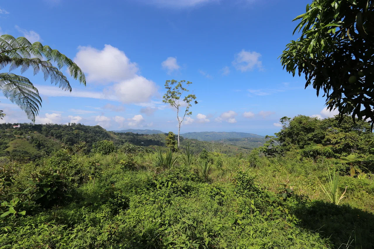 BREATHTAKING MOUNTAIN, JUNGLE, VALLEY, AND OCEAN VIEWS FARM – 22.46 ACRES, photo 24
