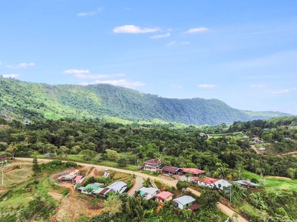 BREATHTAKING MOUNTAIN, JUNGLE, VALLEY, AND OCEAN VIEWS FARM – 22.46 ACRES, photo 4