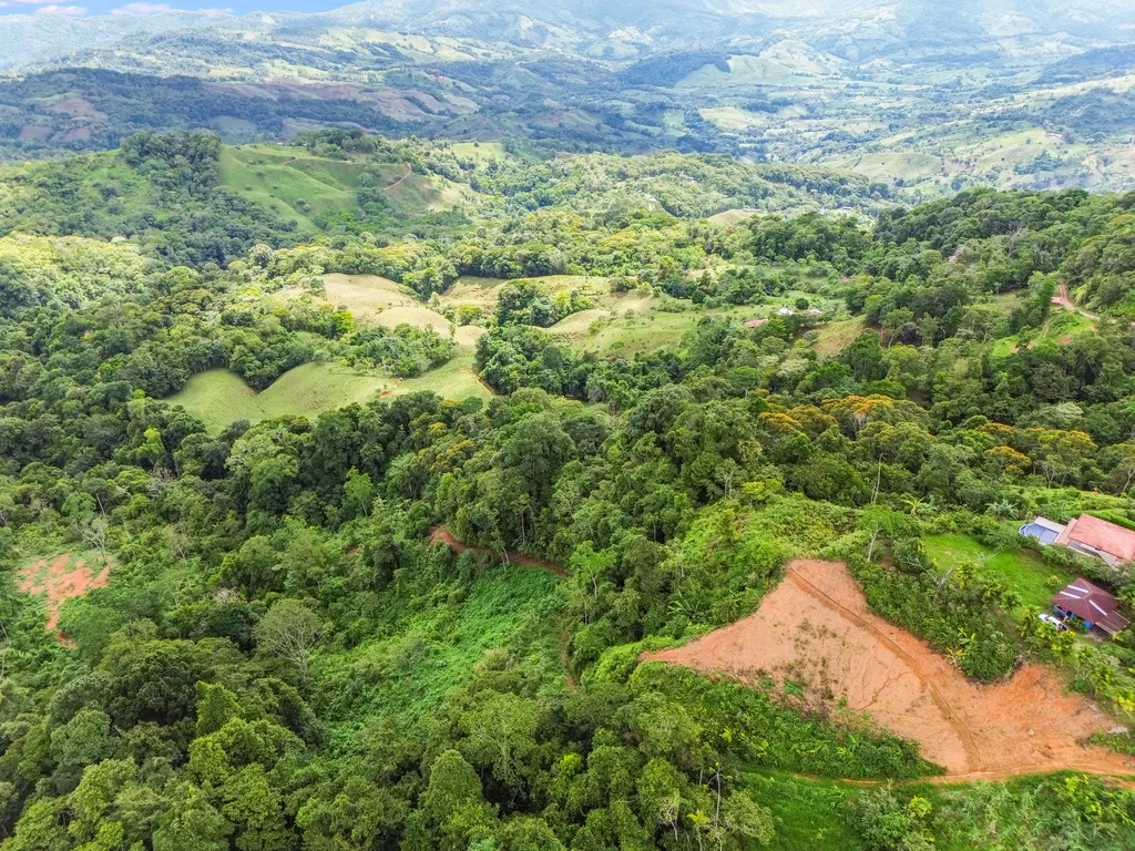 BREATHTAKING MOUNTAIN, JUNGLE, VALLEY, AND OCEAN VIEWS FARM – 22.46 ACRES, photo 10
