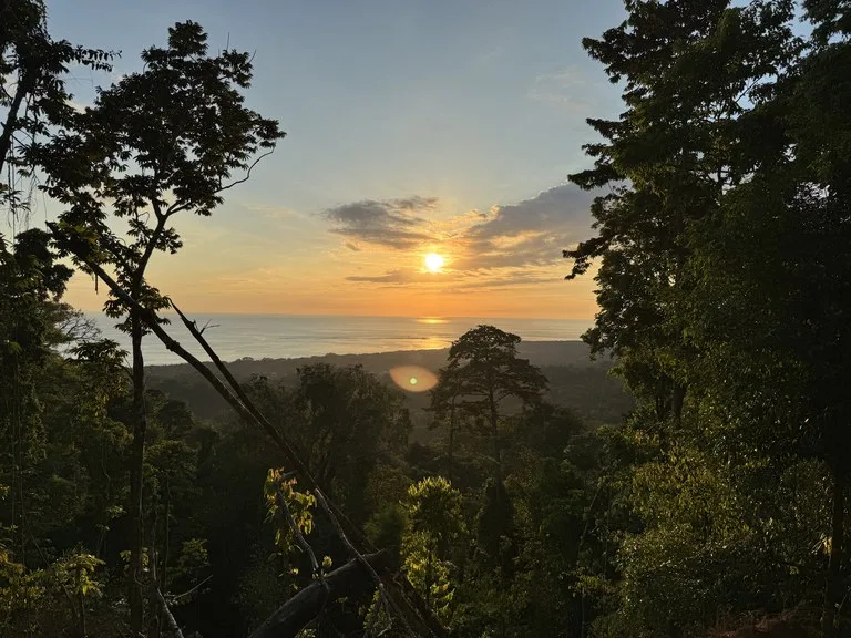 Front-Row Ocean View Lot in the Exclusive Mountains of La Unión, photo 5
