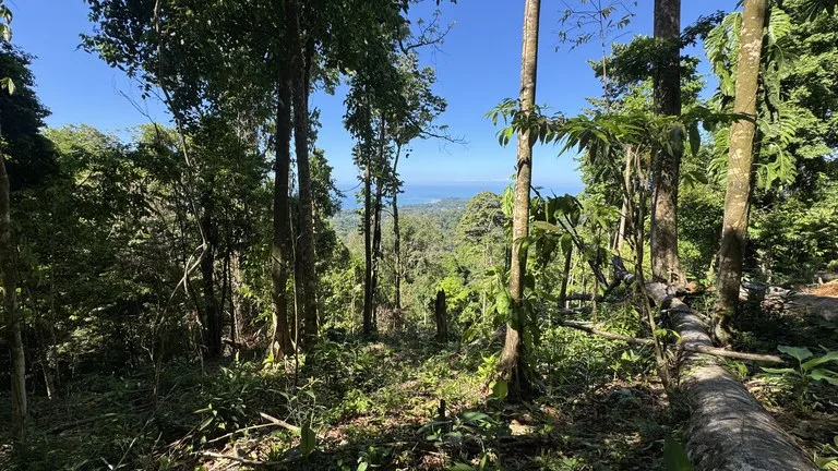 Front-Row Ocean View Lot in the Exclusive Mountains of La Unión, photo 9