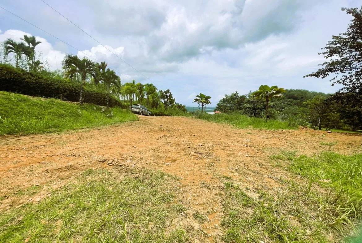 BUILDING PROPERTY WITH OCEAN VIEW, IN TRES RIOS – 0.22 ACRES, photo 2