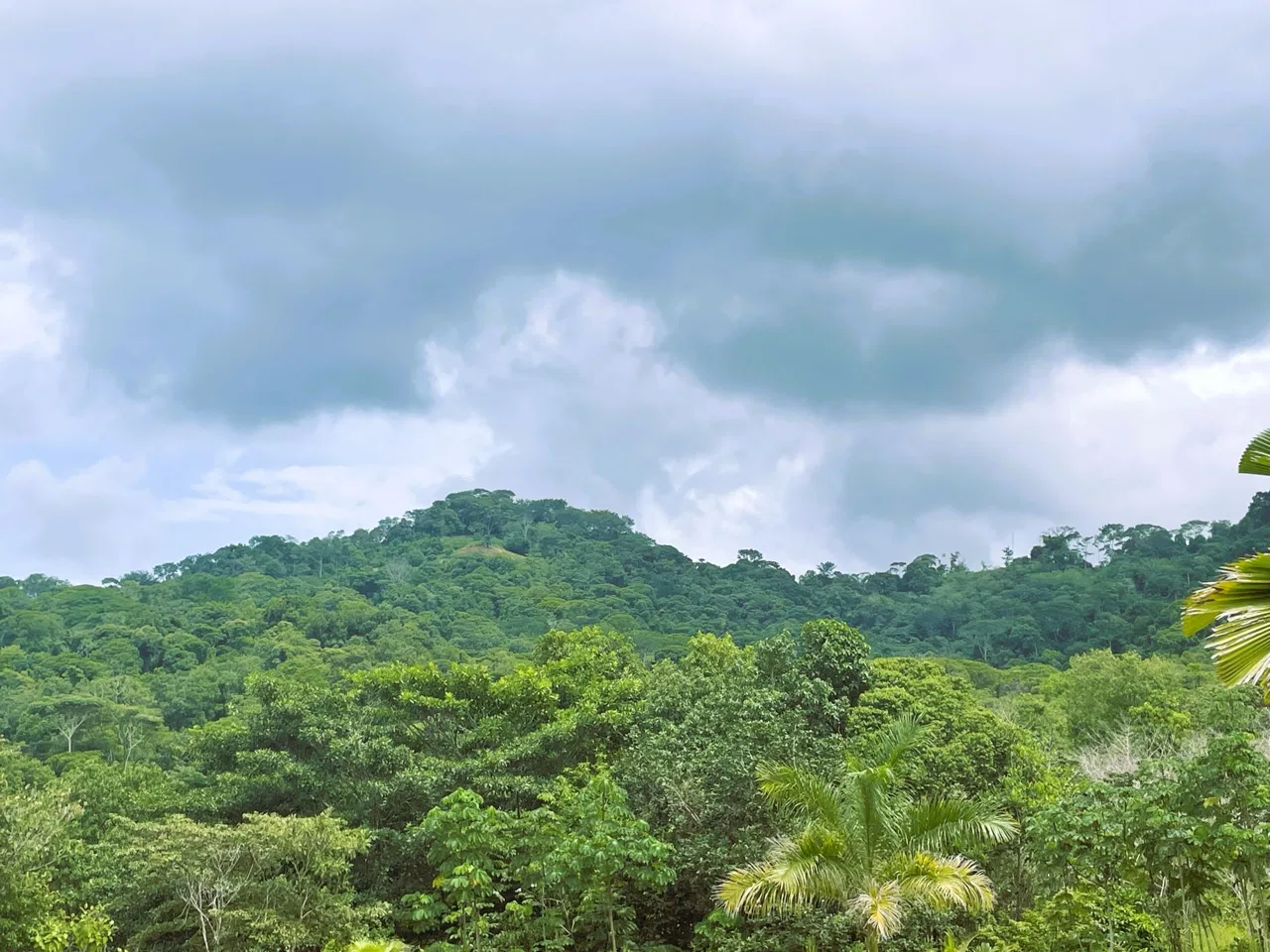 BUILDING PROPERTY WITH OCEAN VIEW, IN TRES RIOS – 0.22 ACRES, photo 11