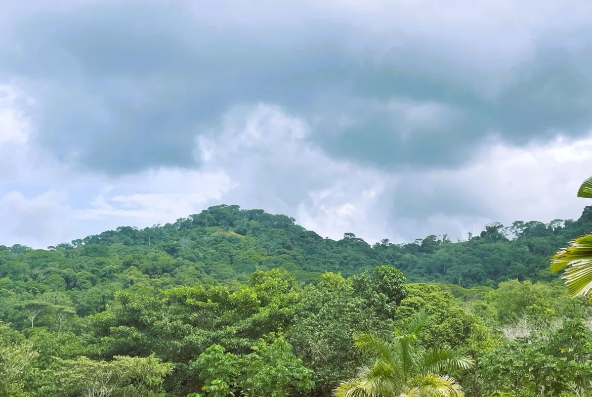 BUILDING PROPERTY WITH OCEAN VIEW, IN TRES RIOS – 0.22 ACRES, photo 12