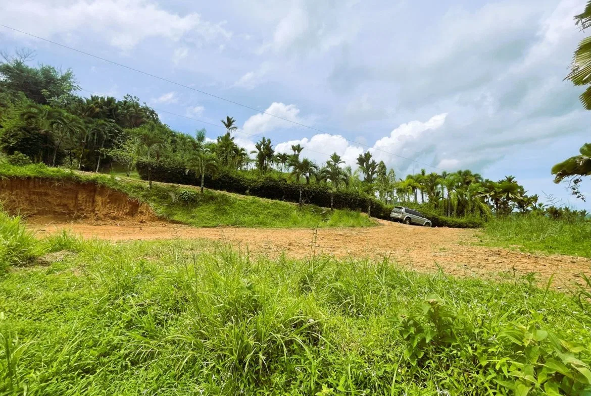 BUILDING PROPERTY WITH OCEAN VIEW, IN TRES RIOS – 0.22 ACRES, photo 6