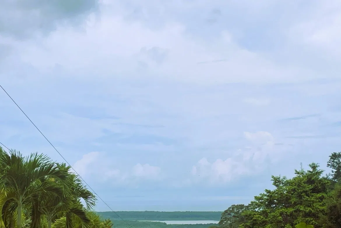 BUILDING PROPERTY WITH OCEAN VIEW, IN TRES RIOS – 0.22 ACRES, photo 8