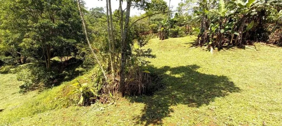 Venta de Lote en Santa Cecilia, Puriscal. - Venta en Puriscal, photo 12