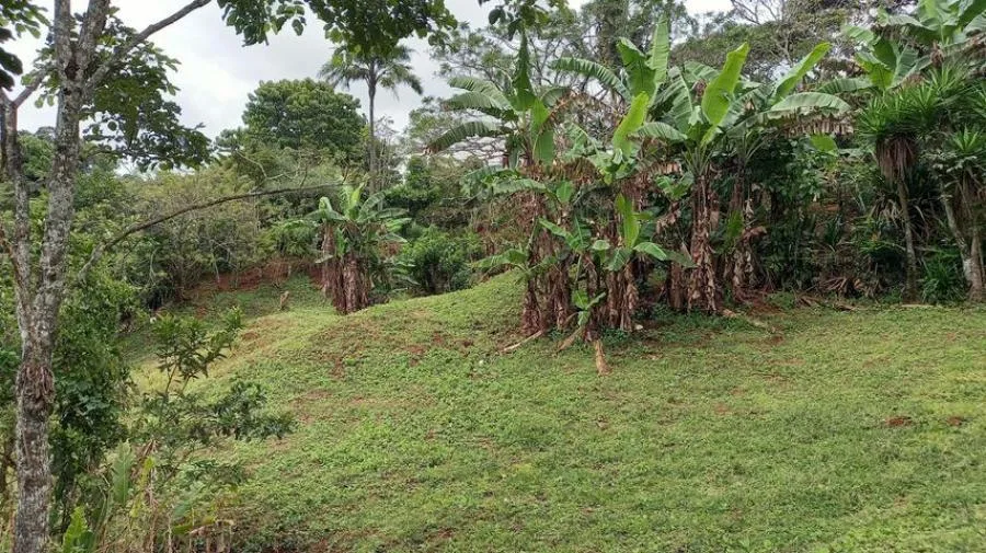 Venta de Lote en Santa Cecilia, Puriscal. - Venta en Puriscal, photo 5