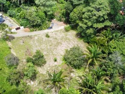 Su Refugio Costero de Ensueño lo Espera: Oportunidad de Inversión en Playa Hermosa, Bahía Ballena, photo 6