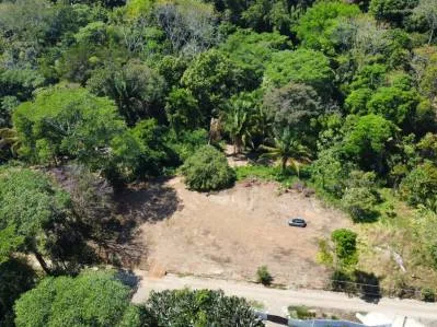 Su Refugio Costero de Ensueño lo Espera: Oportunidad de Inversión en Playa Hermosa, Bahía Ballena, photo 10