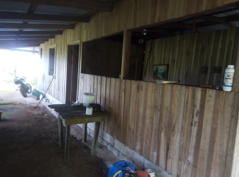 Agricultural farmland for sale in Aguas Claras, Alajuela, 1 house and many fruit trees, photo 12