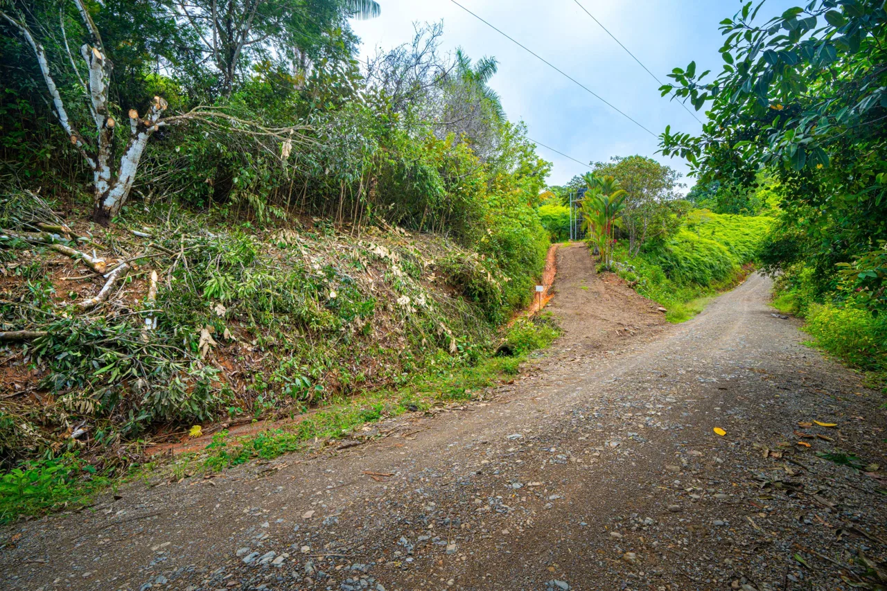 JUNGLE PROPERTY WITH A CASCADE, IN TRES RIOS – 2.22 ACRES, photo 13
