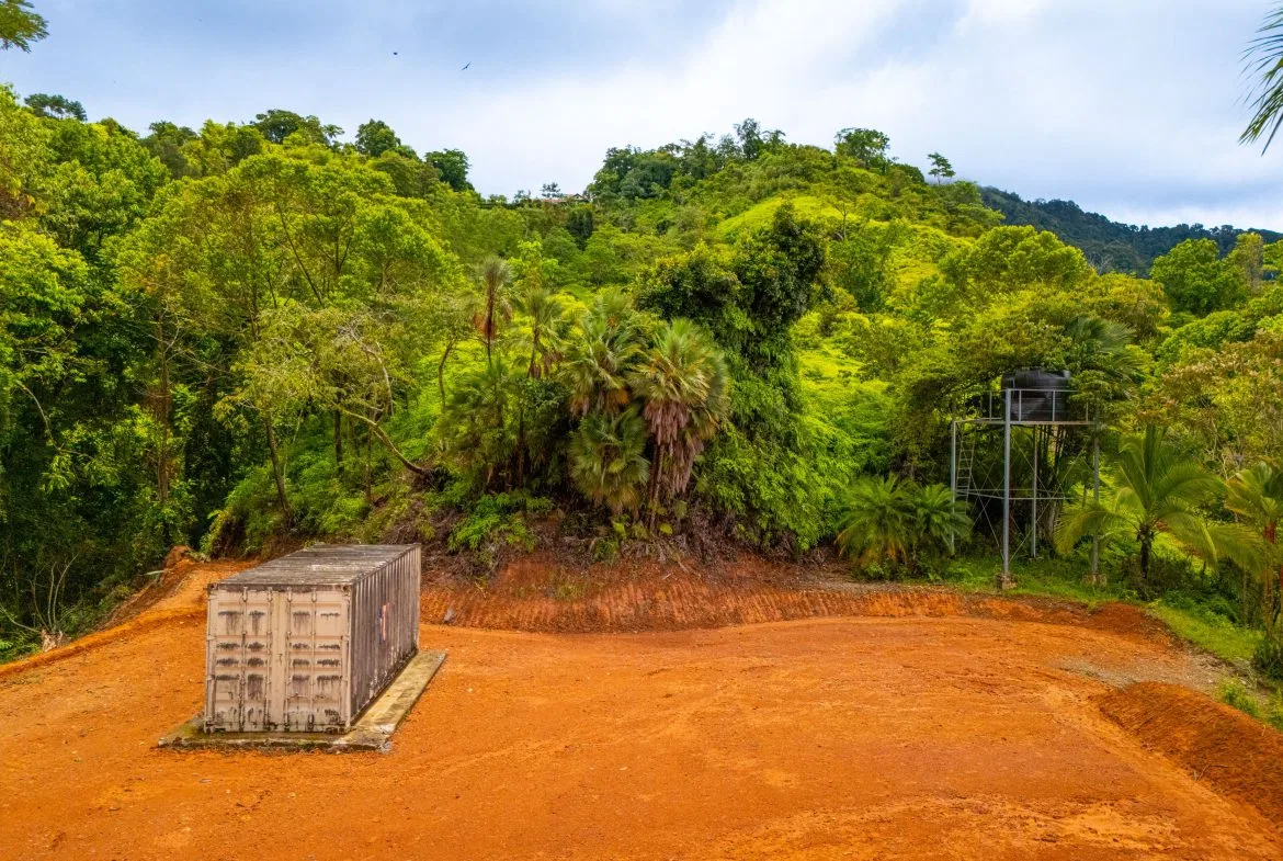 JUNGLE PROPERTY WITH A CASCADE, IN TRES RIOS – 2.22 ACRES, photo 18