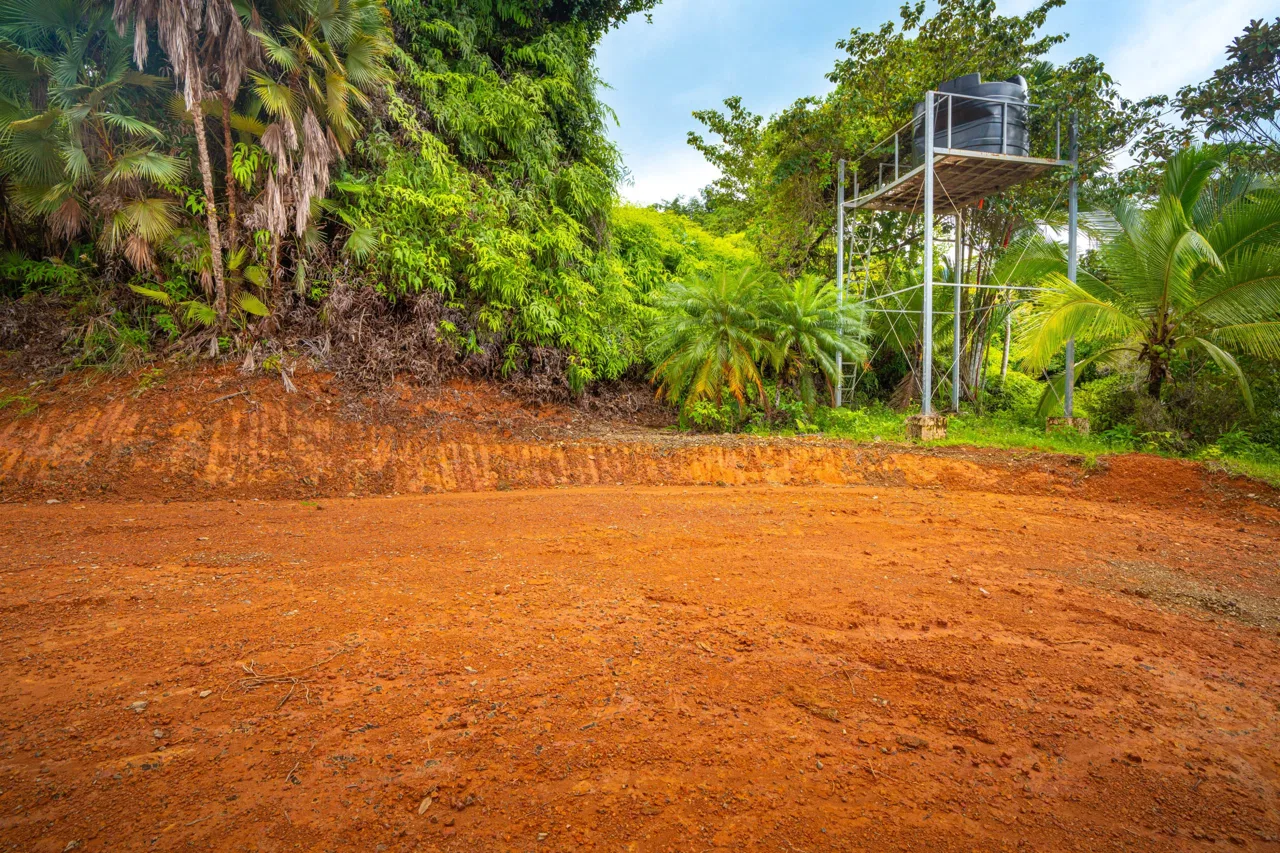 JUNGLE PROPERTY WITH A CASCADE, IN TRES RIOS – 2.22 ACRES, photo 21