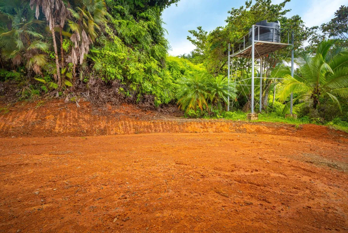 JUNGLE PROPERTY WITH A CASCADE, IN TRES RIOS – 2.22 ACRES, photo 22
