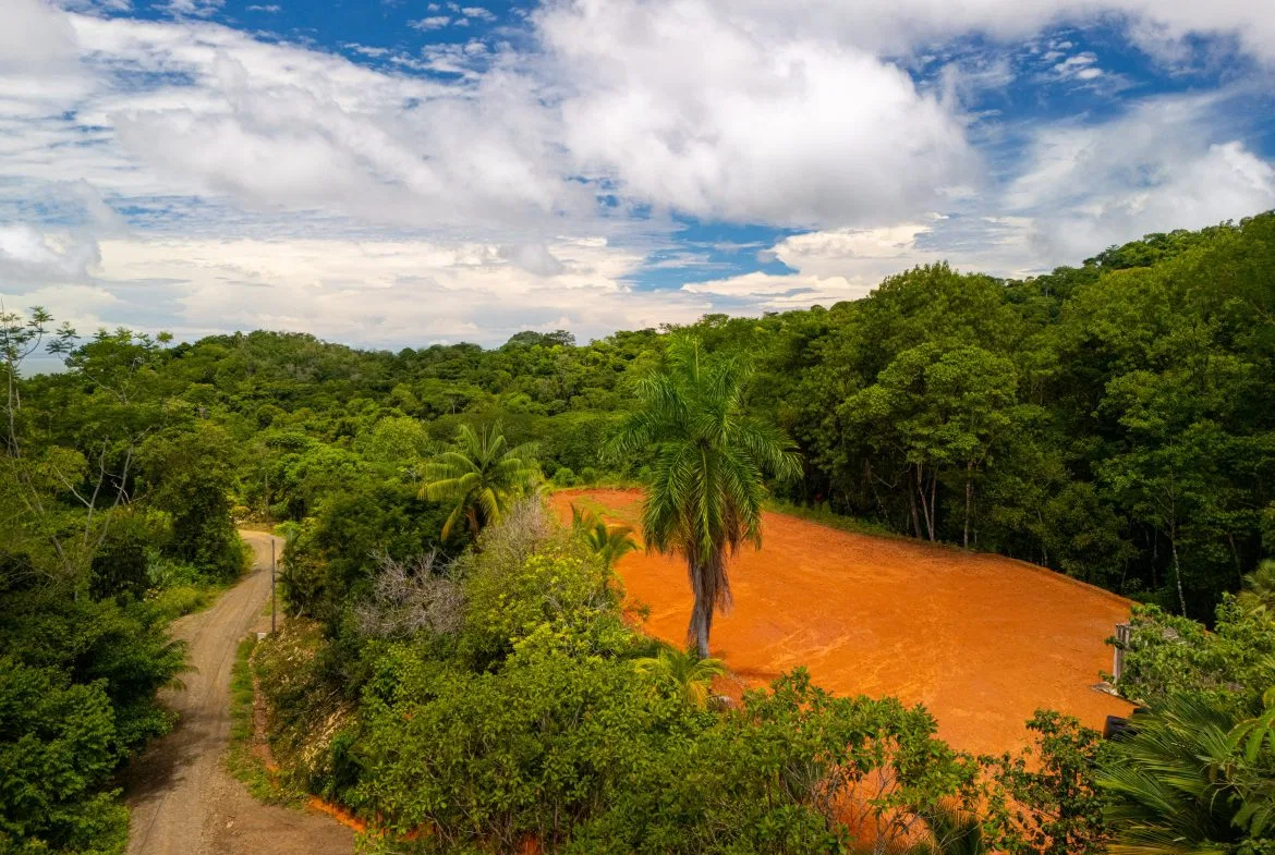JUNGLE PROPERTY WITH A CASCADE, IN TRES RIOS – 2.22 ACRES, photo 6