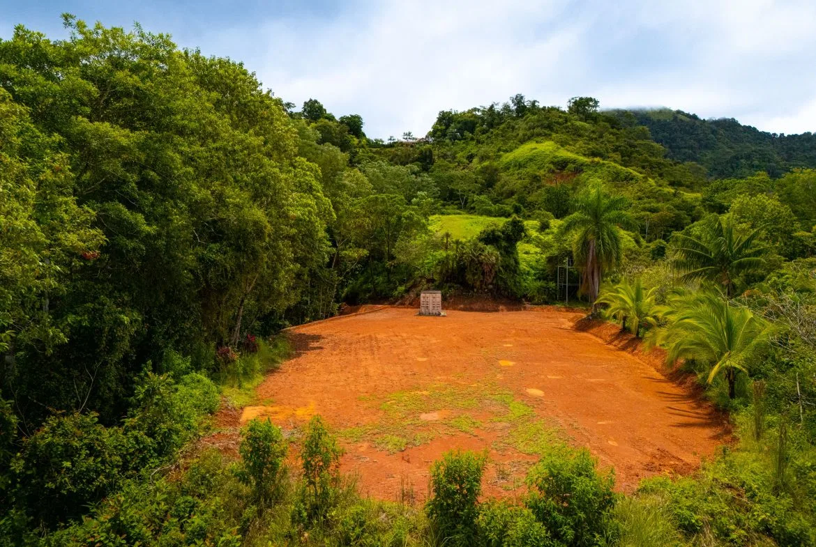JUNGLE PROPERTY WITH A CASCADE, IN TRES RIOS – 2.22 ACRES, photo 8
