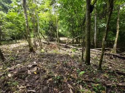 Propiedad privada de 1 acre con acceso al río en la prestigiosa comunidad de Ojochal, Costa Rica, photo 2