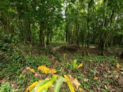 Propiedad privada de 1 acre con acceso al río en la prestigiosa comunidad de Ojochal, Costa Rica, photo 3