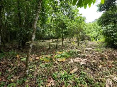 Propiedad privada de 1 acre con acceso al río en la prestigiosa comunidad de Ojochal, Costa Rica, photo 4