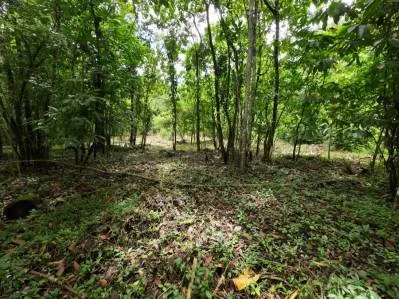 Propiedad privada de 1 acre con acceso al río en la prestigiosa comunidad de Ojochal, Costa Rica, photo 5