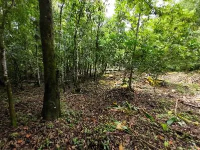 Propiedad privada de 1 acre con acceso al río en la prestigiosa comunidad de Ojochal, Costa Rica, photo 7