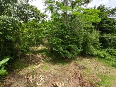 Propiedad privada de 1 acre con acceso al río en la prestigiosa comunidad de Ojochal, Costa Rica, photo 9