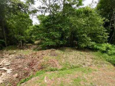 Propiedad privada de 1 acre con acceso al río en la prestigiosa comunidad de Ojochal, Costa Rica, photo 10