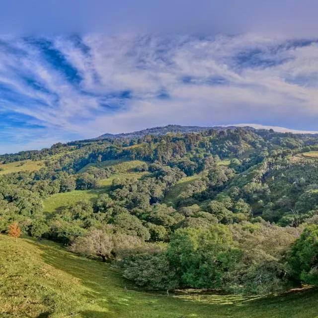 ¡Oportunidad de inversión! Finca en venta con vista panorámica, rodeada de vegetación y ubicada en las montañas de Barva,