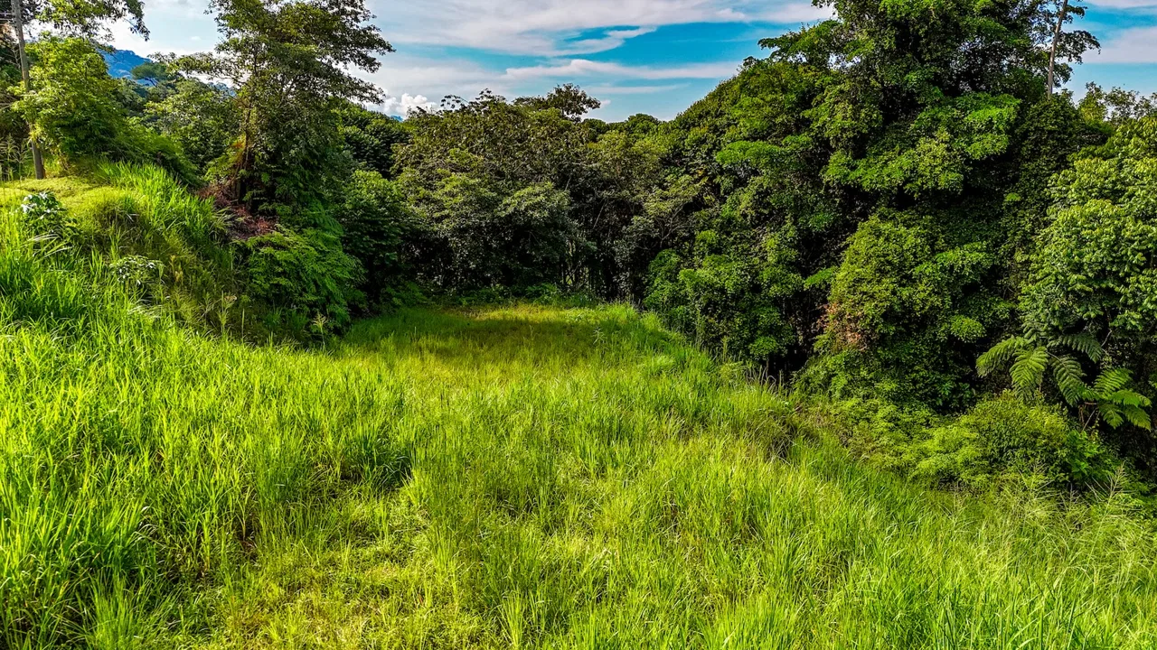 BUILDING PROPERTY WITH OCEAN VIEWS IN A GATED COMMUNITY, IN OJOCHAL – 0.4 ACRES, photo 13