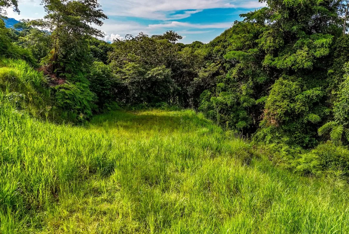 BUILDING PROPERTY WITH OCEAN VIEWS IN A GATED COMMUNITY, IN OJOCHAL – 0.4 ACRES, photo 14