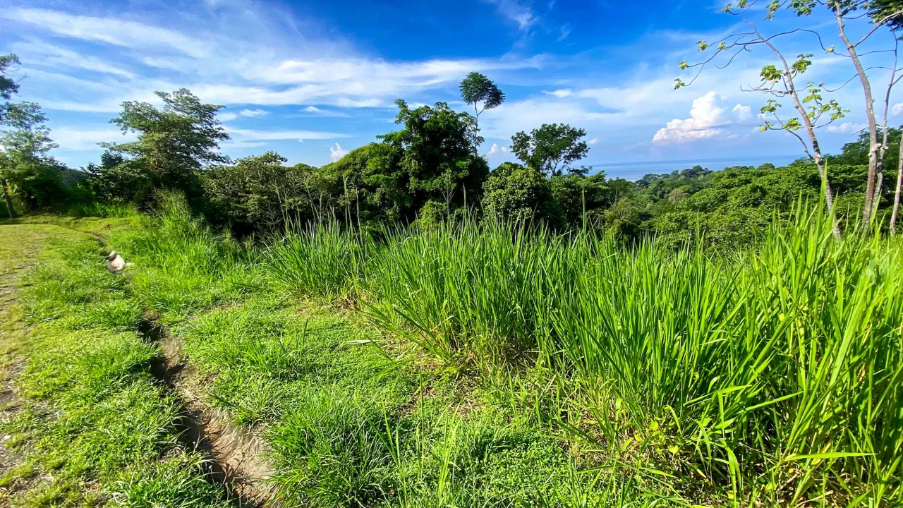BUILDING PROPERTY WITH OCEAN VIEWS IN A GATED COMMUNITY, IN OJOCHAL – 0.4 ACRES, photo 15