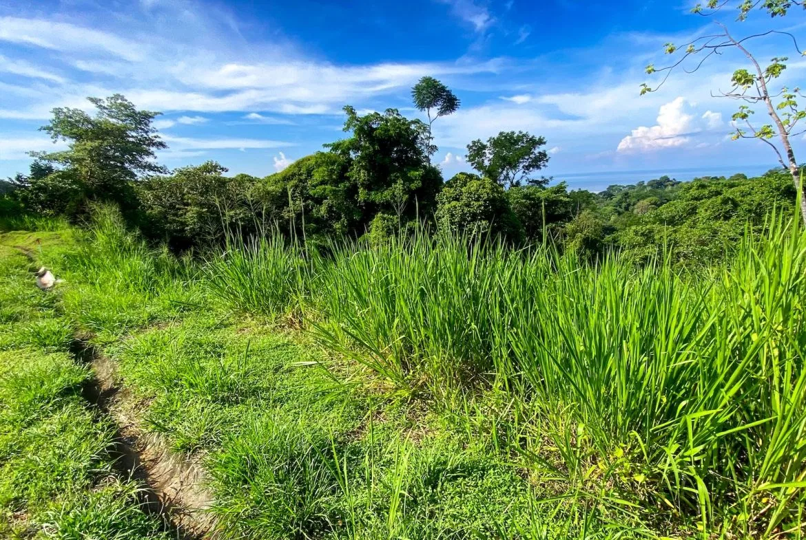 BUILDING PROPERTY WITH OCEAN VIEWS IN A GATED COMMUNITY, IN OJOCHAL – 0.4 ACRES, photo 16