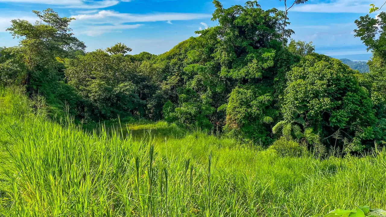 BUILDING PROPERTY WITH OCEAN VIEWS IN A GATED COMMUNITY, IN OJOCHAL – 0.4 ACRES, photo 17
