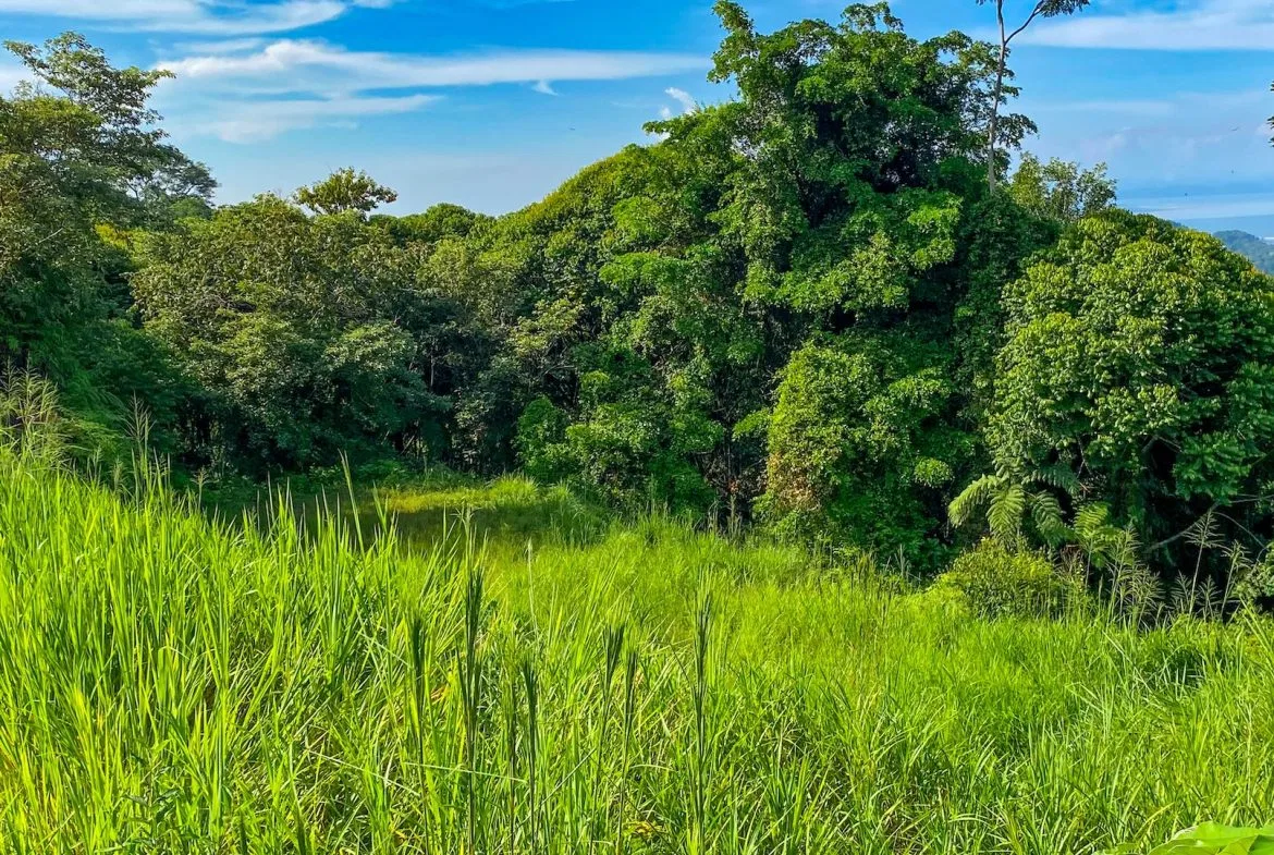 BUILDING PROPERTY WITH OCEAN VIEWS IN A GATED COMMUNITY, IN OJOCHAL – 0.4 ACRES, photo 18