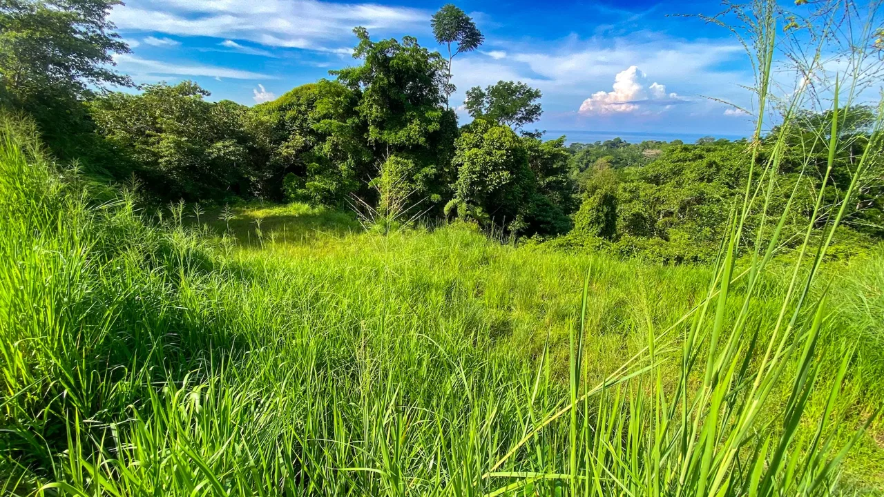 BUILDING PROPERTY WITH OCEAN VIEWS IN A GATED COMMUNITY, IN OJOCHAL – 0.4 ACRES, photo 19