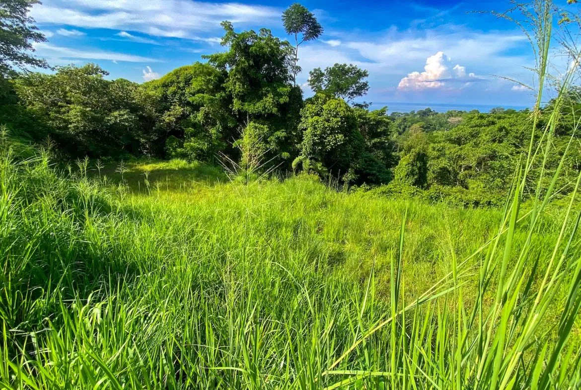 BUILDING PROPERTY WITH OCEAN VIEWS IN A GATED COMMUNITY, IN OJOCHAL – 0.4 ACRES, photo 20